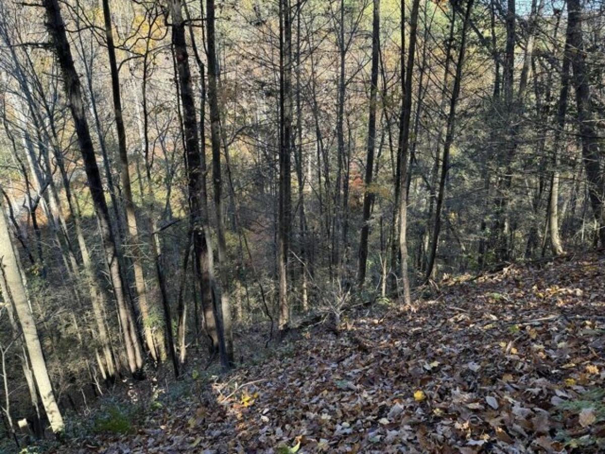 Picture of Residential Land For Sale in Pigeon Forge, Tennessee, United States