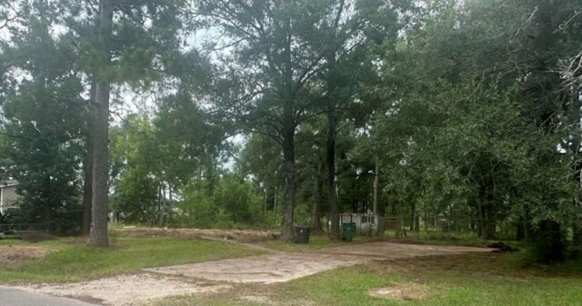 Picture of Residential Land For Sale in Lumberton, Texas, United States