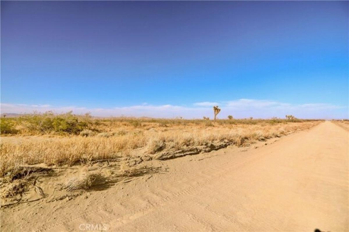 Picture of Residential Land For Sale in Adelanto, California, United States