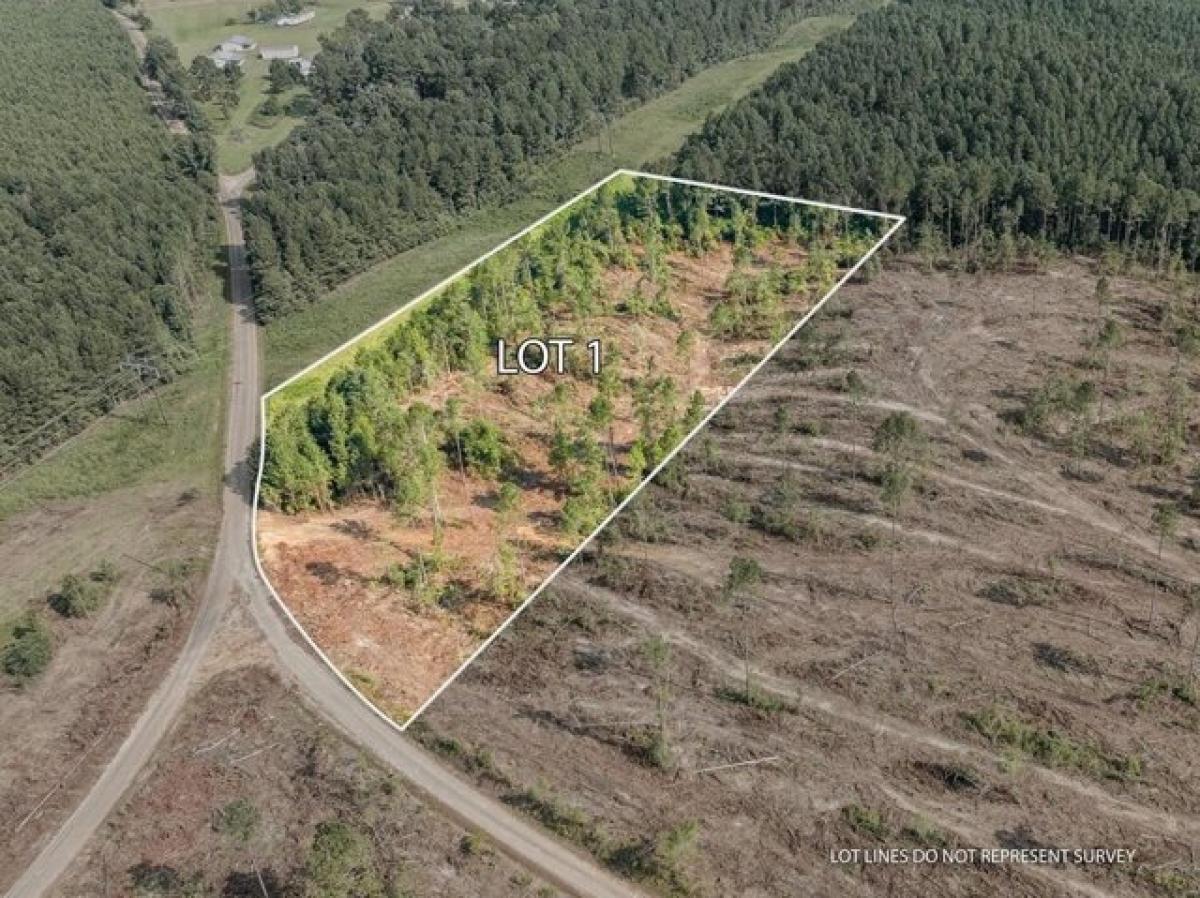 Picture of Residential Land For Sale in Mount Olive, Mississippi, United States