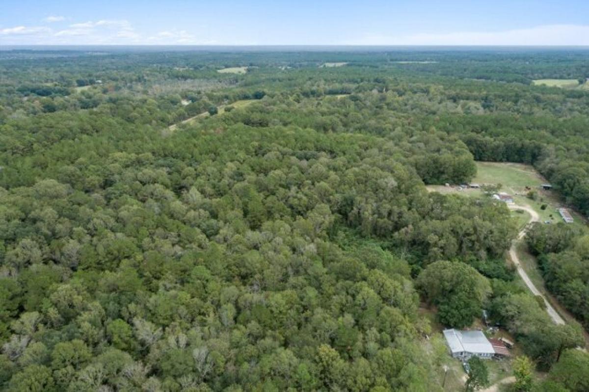 Picture of Residential Land For Sale in Sandy Hook, Mississippi, United States