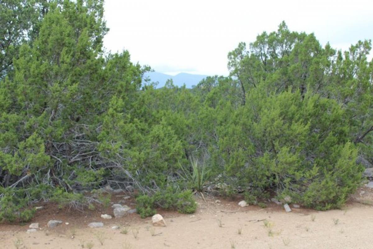 Picture of Residential Land For Sale in Tijeras, New Mexico, United States