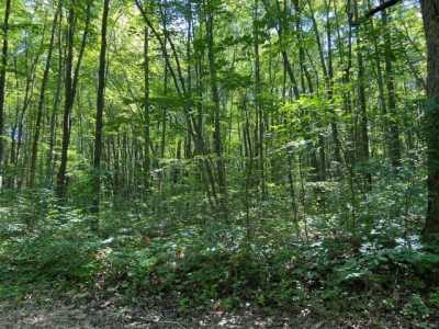 Residential Land For Sale in New Buffalo, Michigan