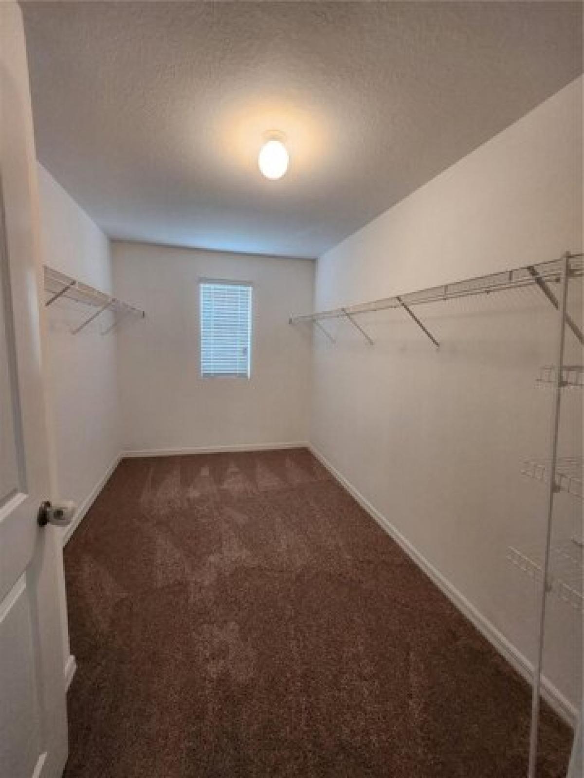 Picture of Home For Rent in Sun City Center, Florida, United States