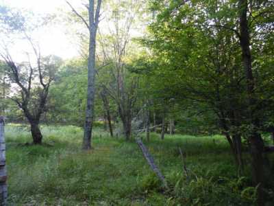 Residential Land For Sale in Marlinton, West Virginia