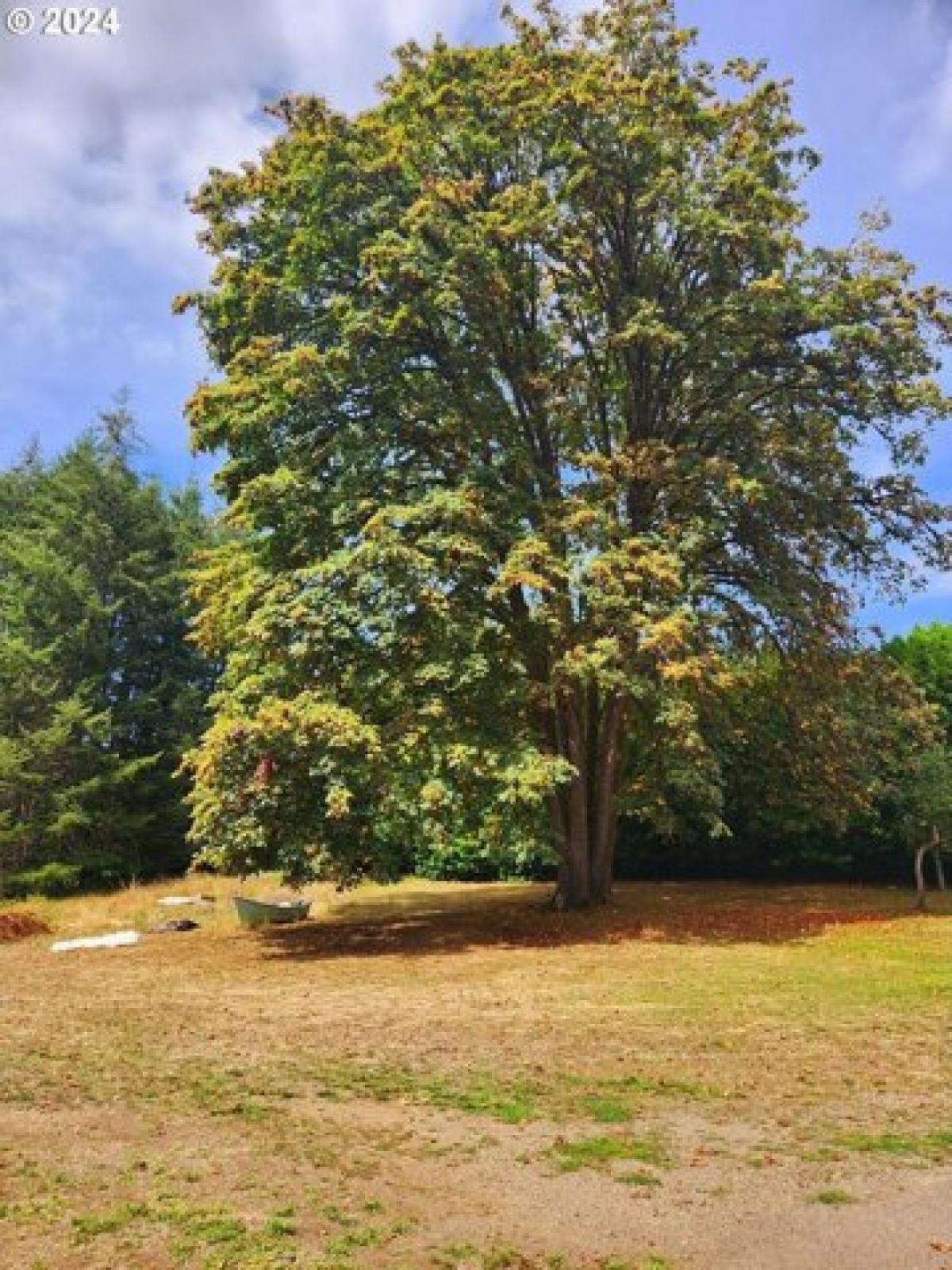 Picture of Home For Sale in Swisshome, Oregon, United States