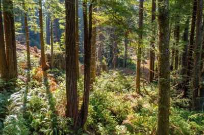 Residential Land For Sale in Eureka, California