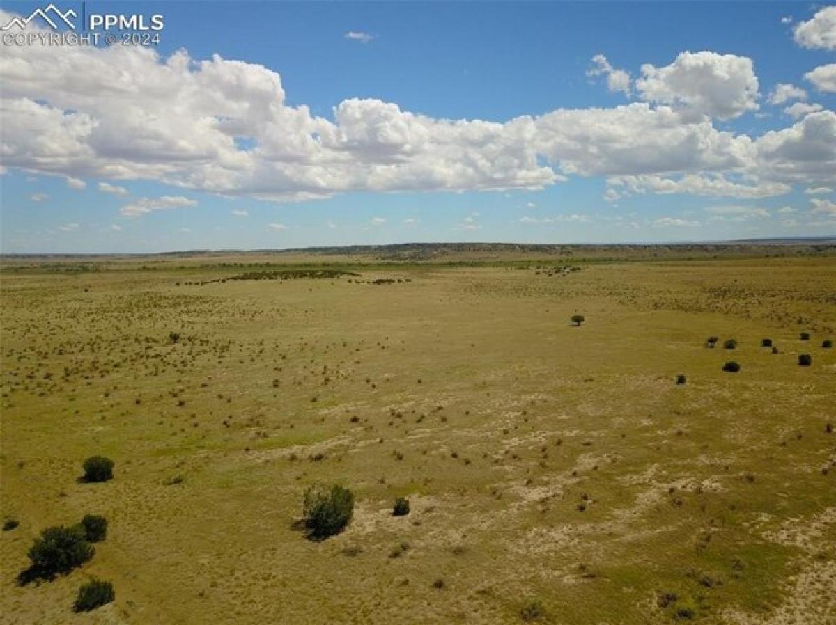 Picture of Residential Land For Sale in Model, Colorado, United States