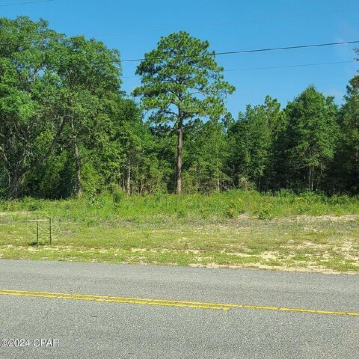 Picture of Residential Land For Sale in Chipley, Florida, United States