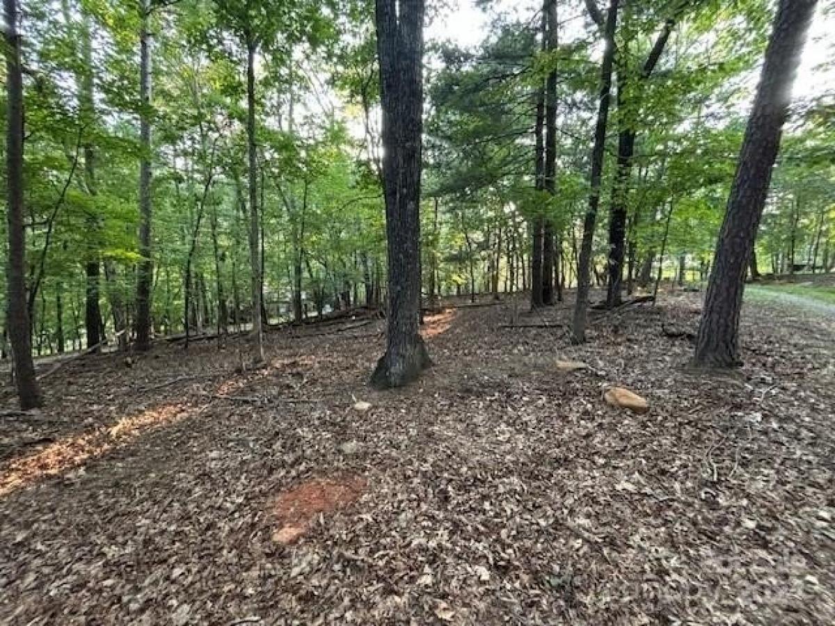 Picture of Residential Land For Sale in Lake Lure, North Carolina, United States