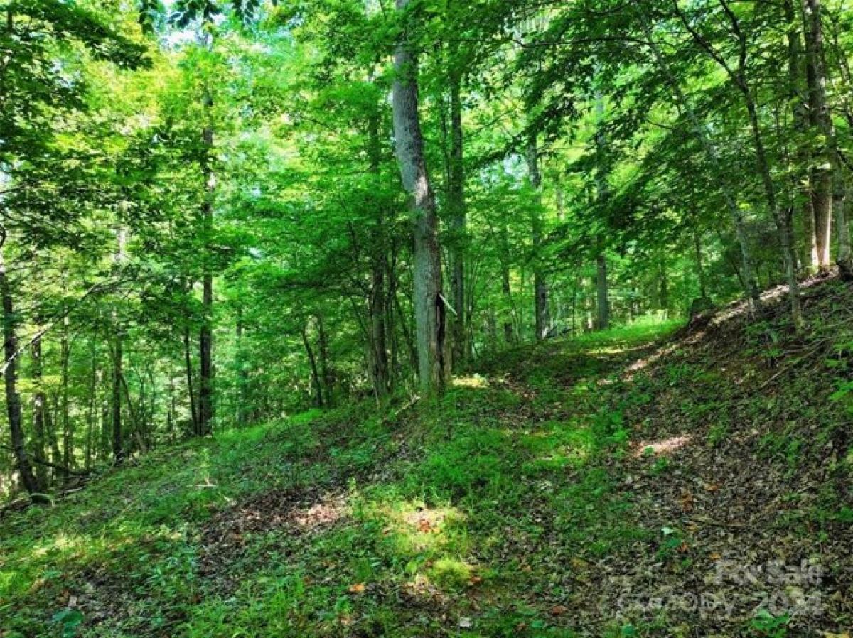 Picture of Residential Land For Sale in Green Mountain, North Carolina, United States