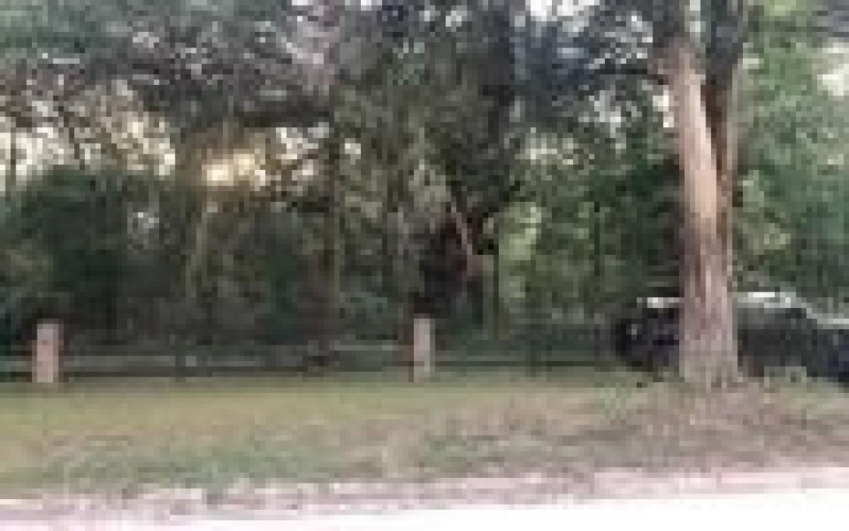 Picture of Residential Land For Sale in Wellborn, Florida, United States