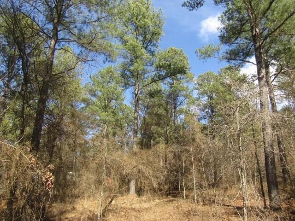 Picture of Residential Land For Sale in Broken Bow, Oklahoma, United States