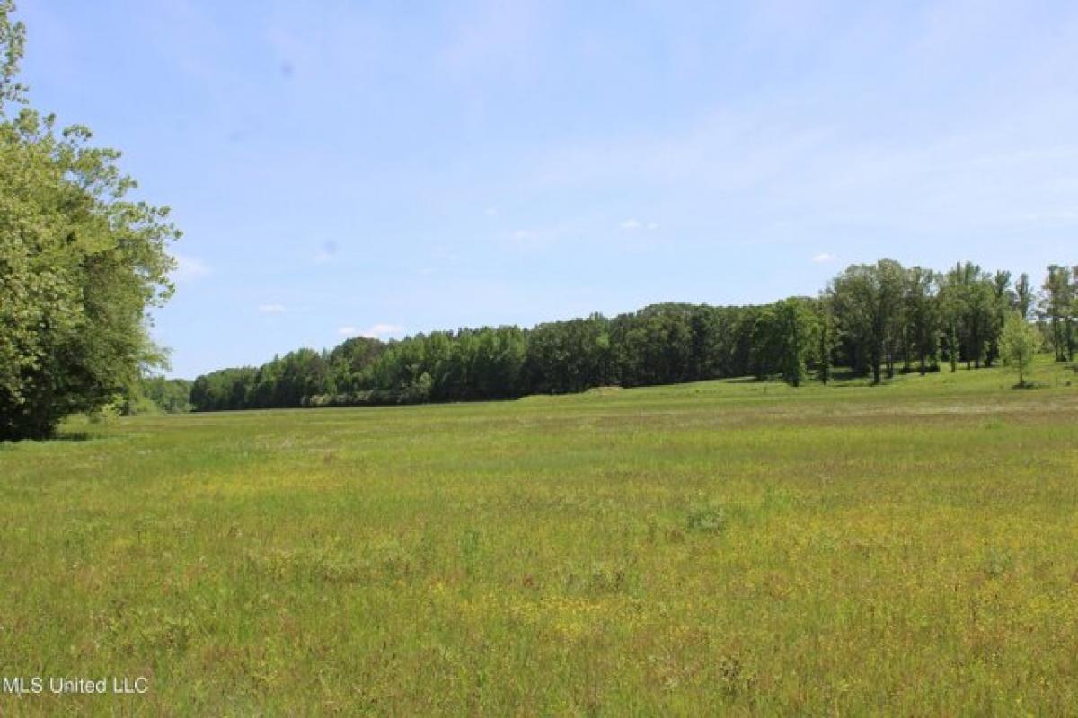 Picture of Residential Land For Sale in Byhalia, Mississippi, United States