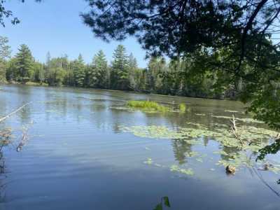 Residential Land For Sale in Hillman, Michigan