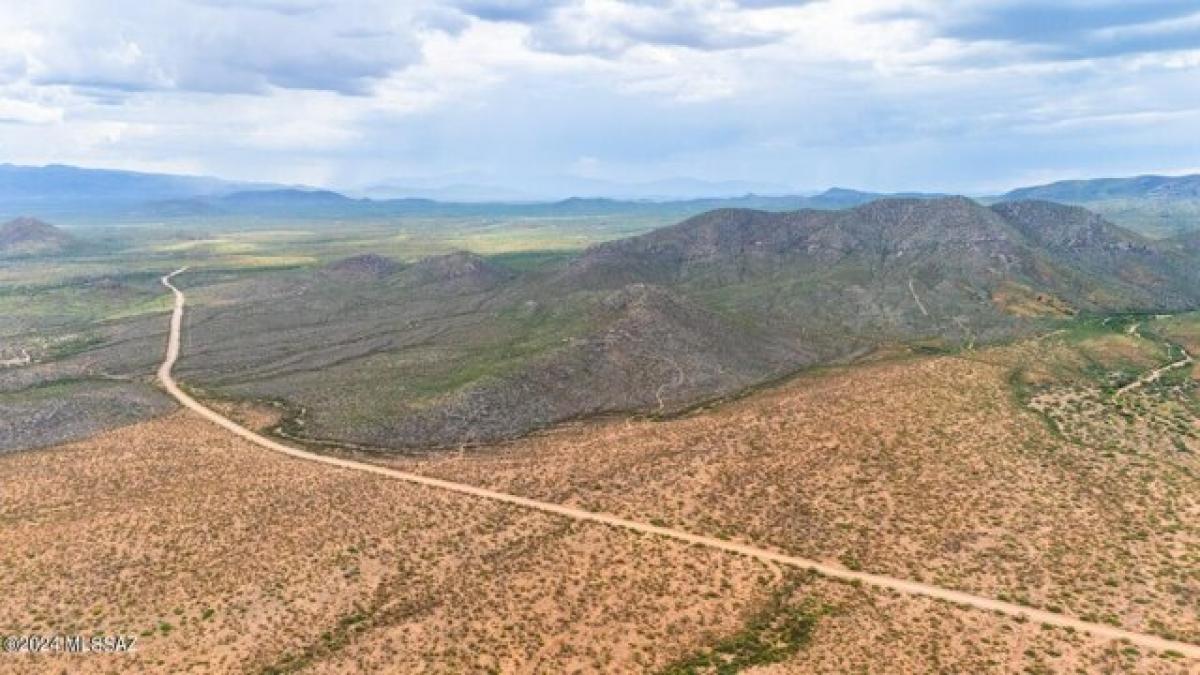 Picture of Residential Land For Sale in Elfrida, Arizona, United States