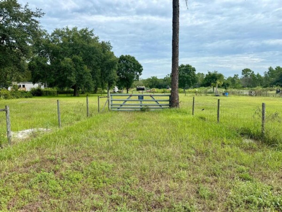 Picture of Residential Land For Sale in Mims, Florida, United States