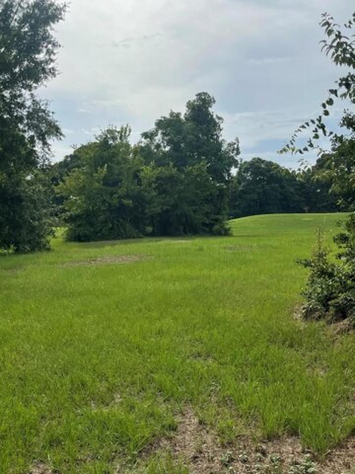 Picture of Residential Land For Sale in Eufaula, Alabama, United States