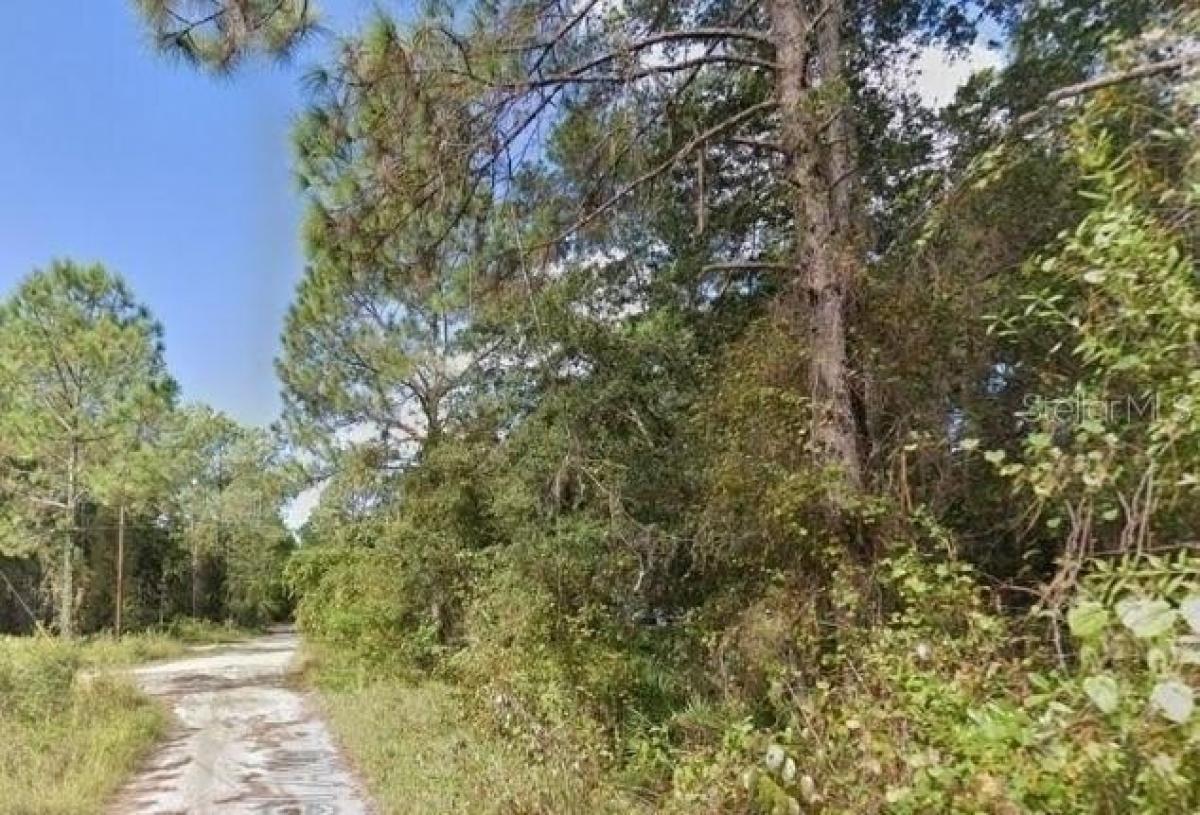 Picture of Residential Land For Sale in New Port Richey, Florida, United States