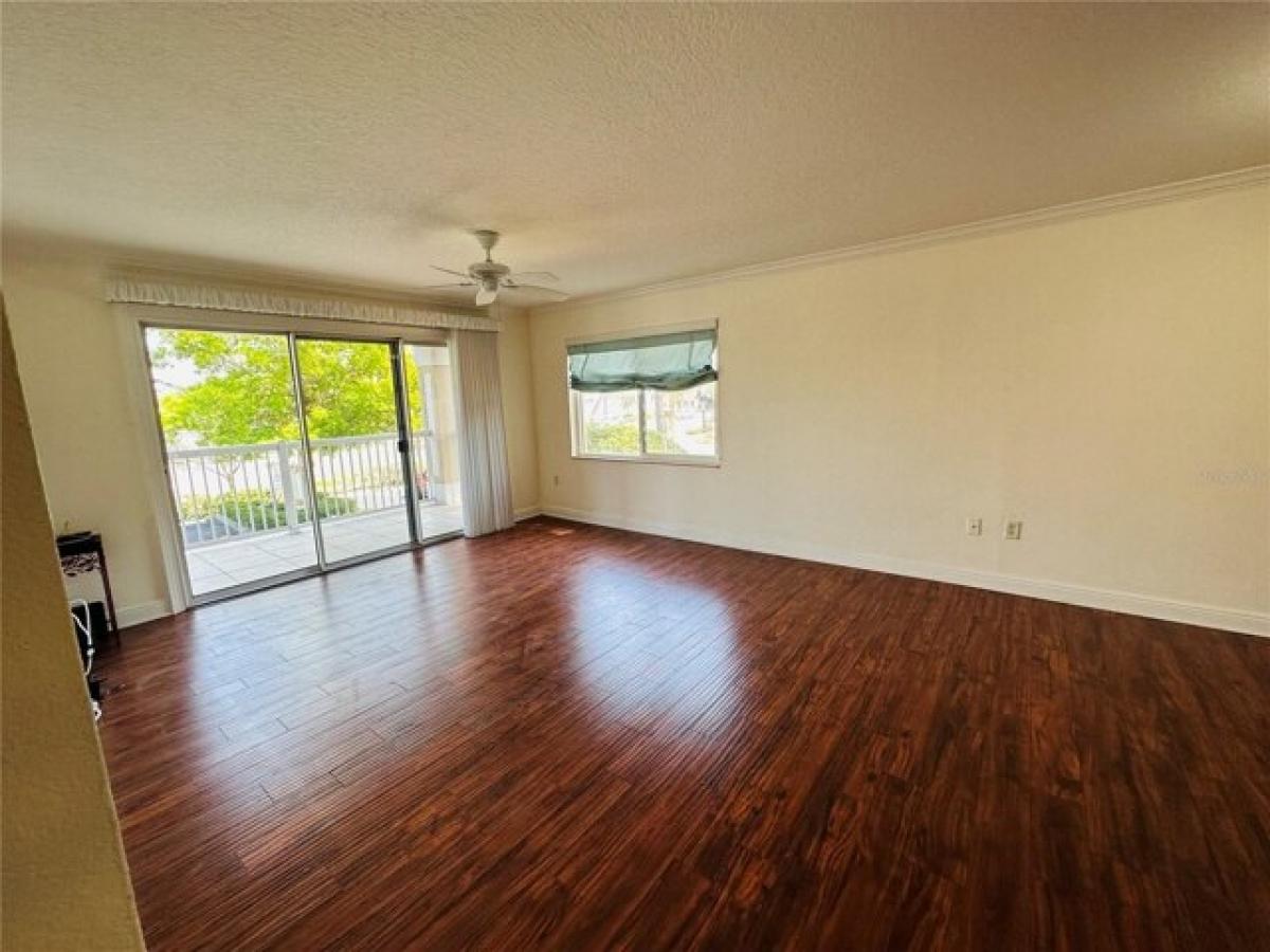 Picture of Home For Rent in Dunedin, Florida, United States