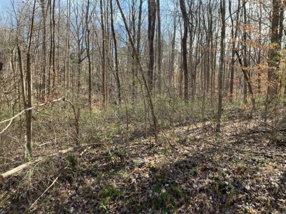 Picture of Residential Land For Sale in Scottsville, Kentucky, United States