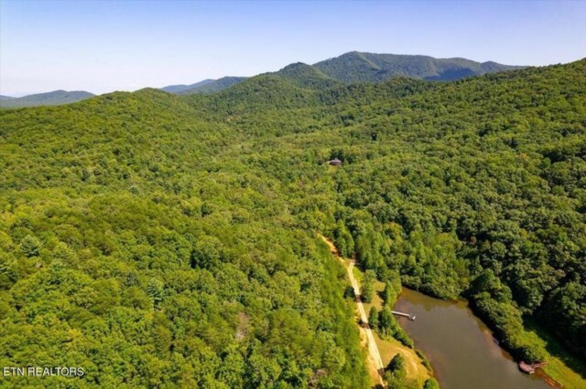 Picture of Residential Land For Sale in Turtletown, Tennessee, United States