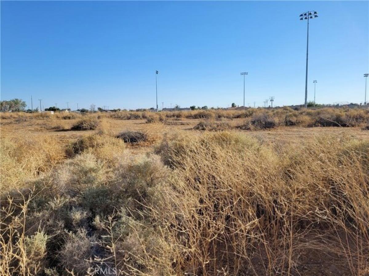 Picture of Residential Land For Sale in California City, California, United States