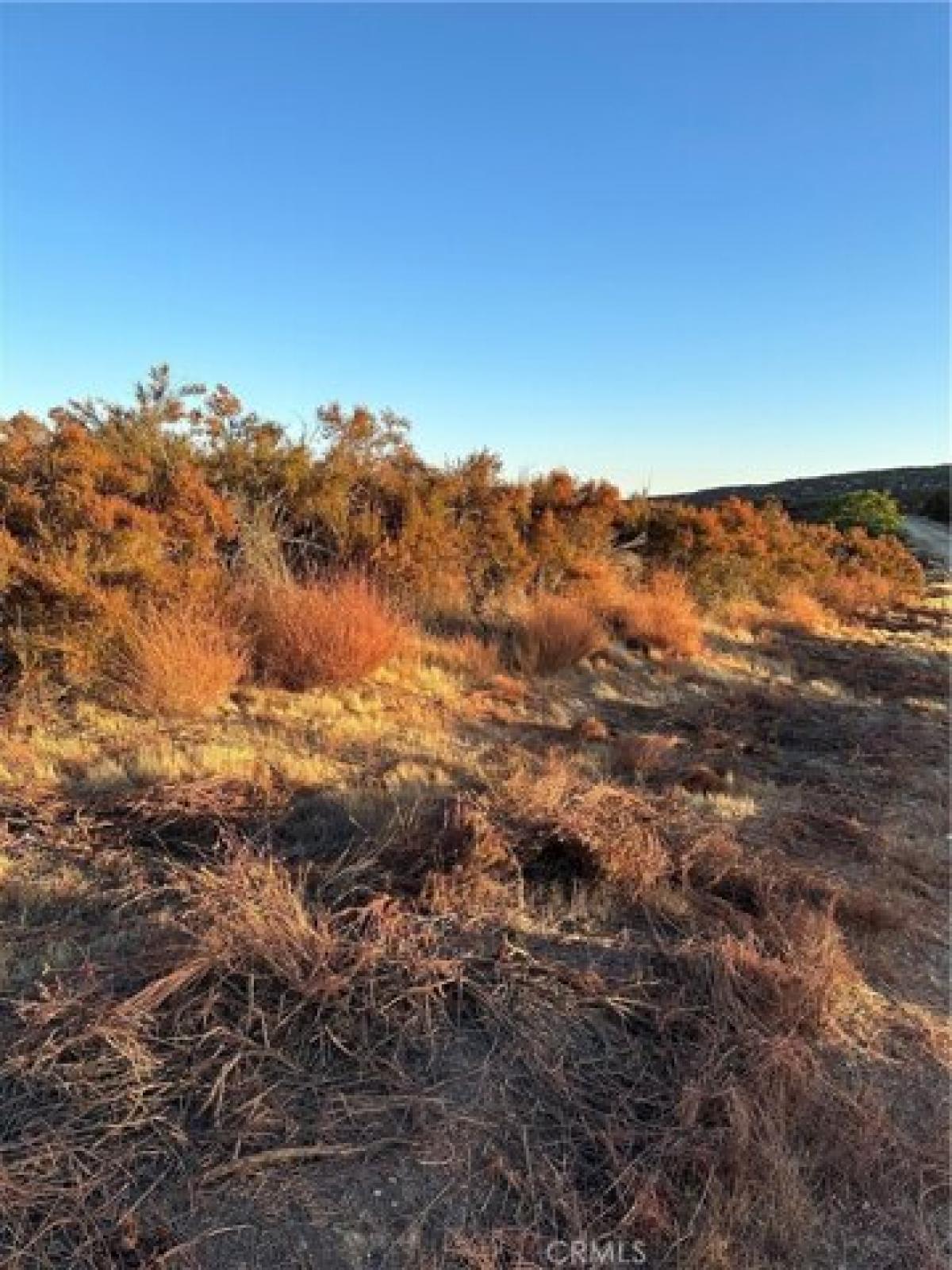 Picture of Residential Land For Sale in Hemet, California, United States