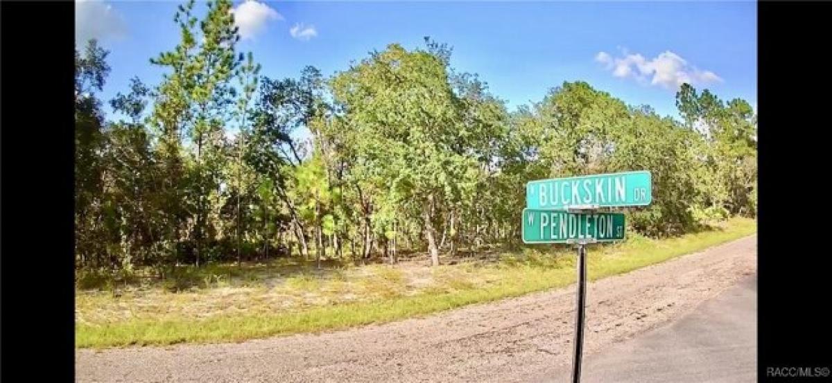 Picture of Residential Land For Sale in Citrus Springs, Florida, United States