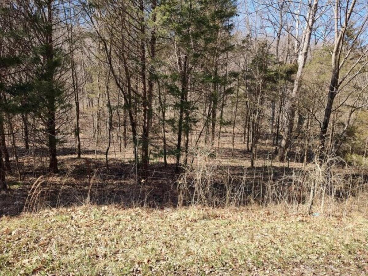 Picture of Residential Land For Sale in Palmyra, Tennessee, United States