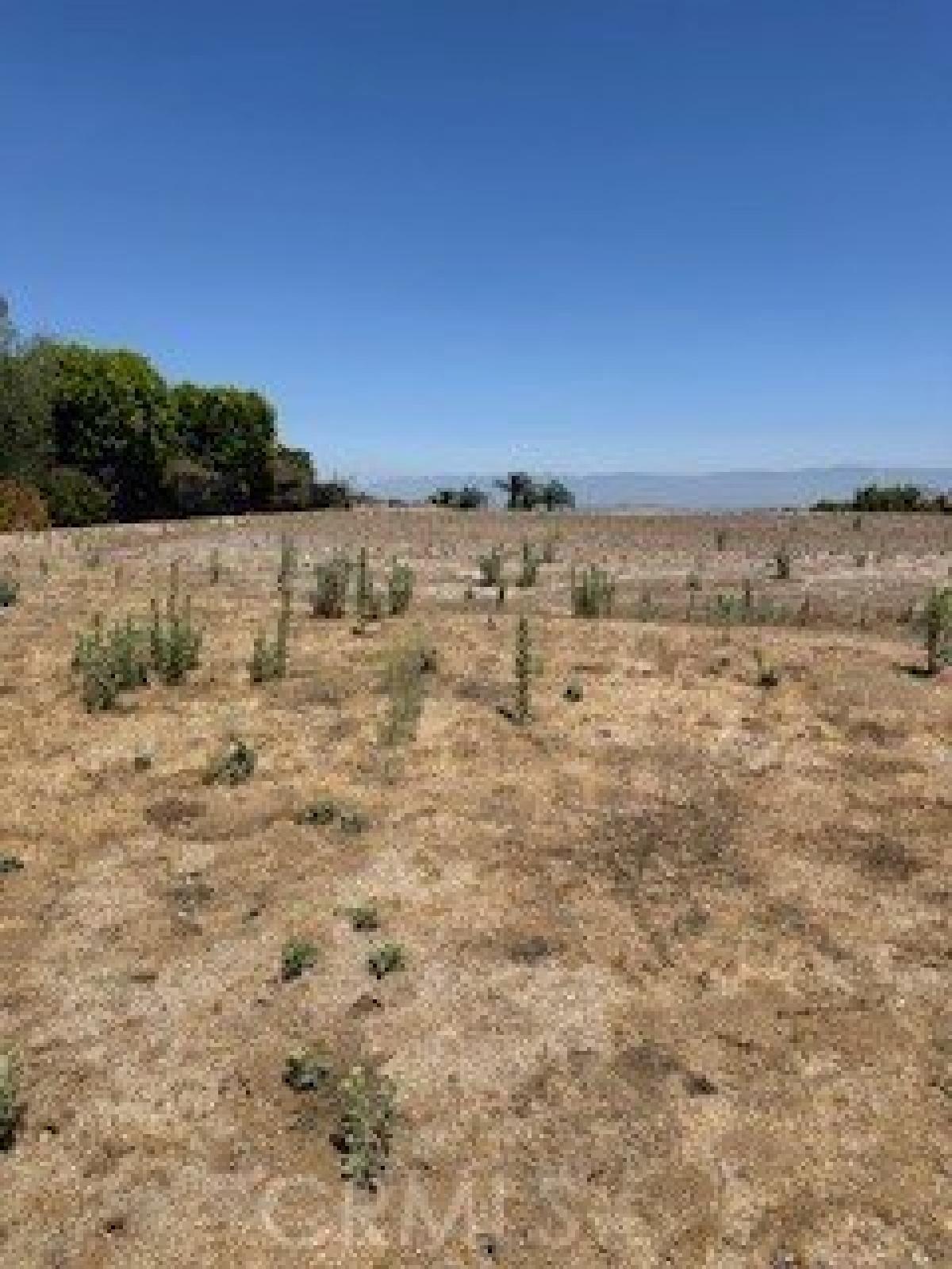 Picture of Residential Land For Sale in Riverside, California, United States