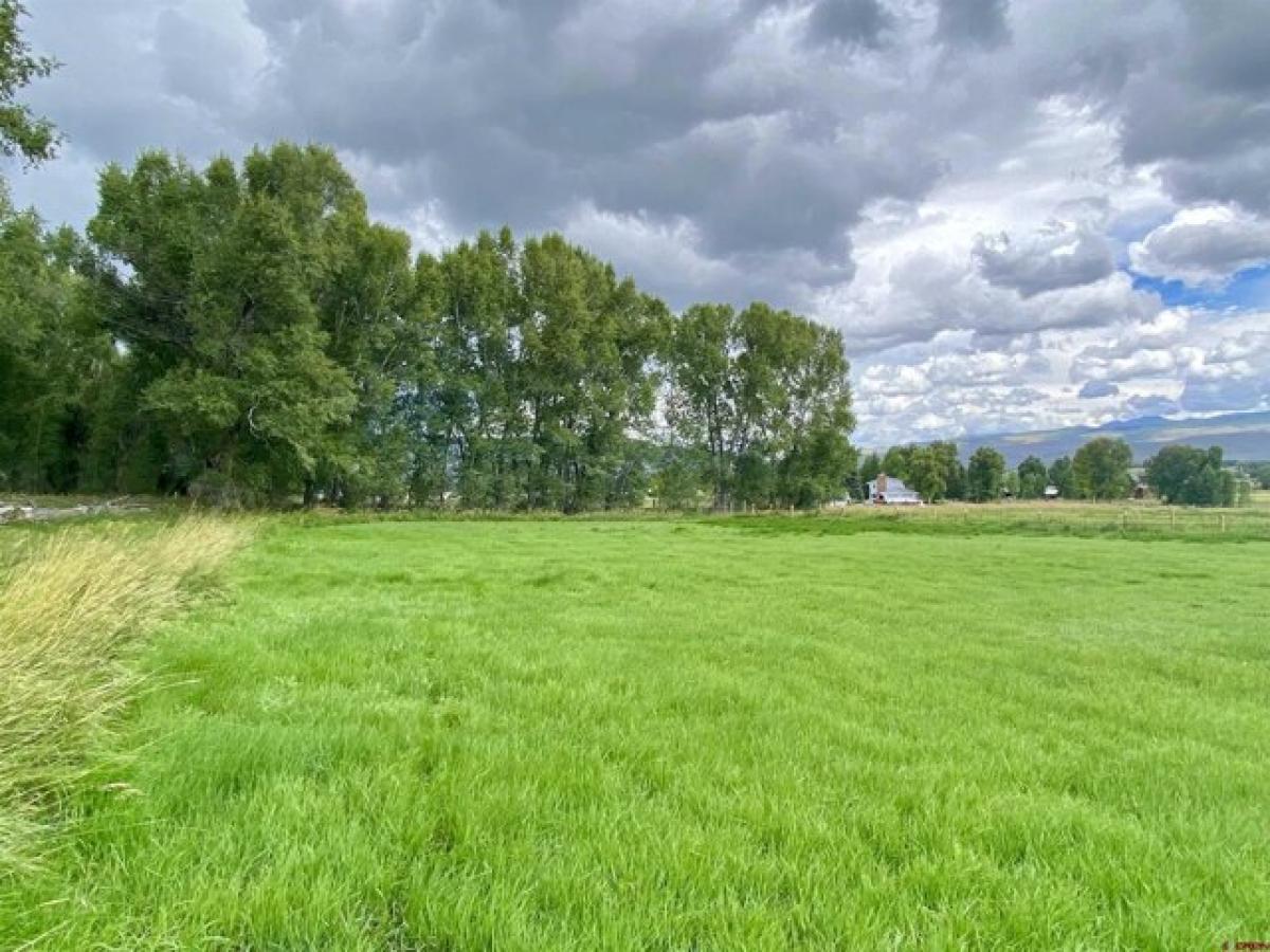 Picture of Residential Land For Sale in Gunnison, Colorado, United States