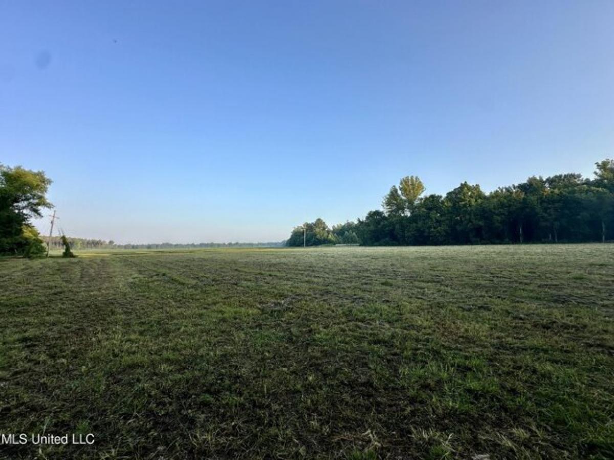 Picture of Residential Land For Sale in Flora, Mississippi, United States