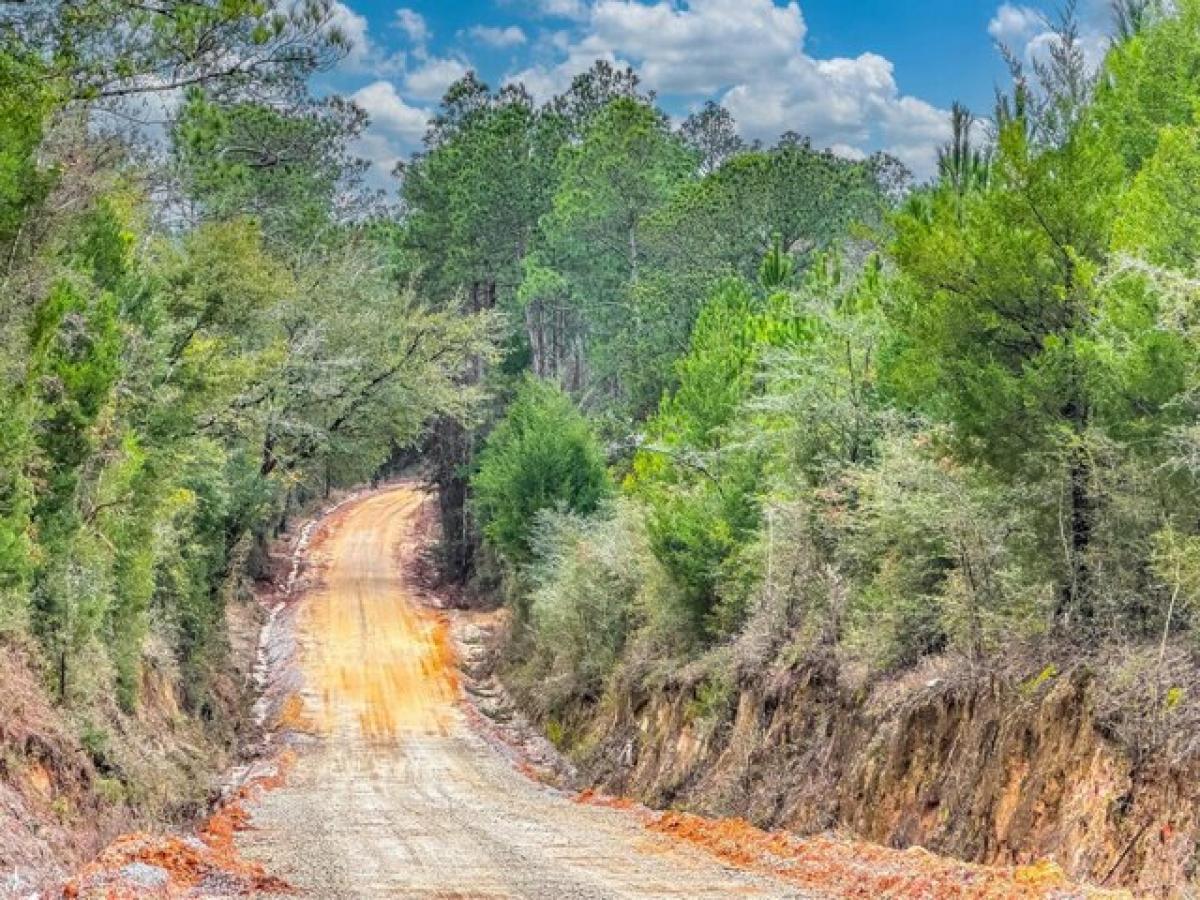 Picture of Residential Land For Sale in Caryville, Florida, United States