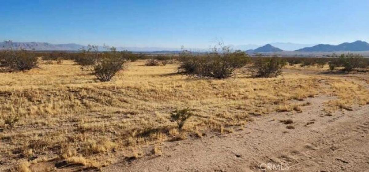 Picture of Residential Land For Sale in Apple Valley, California, United States