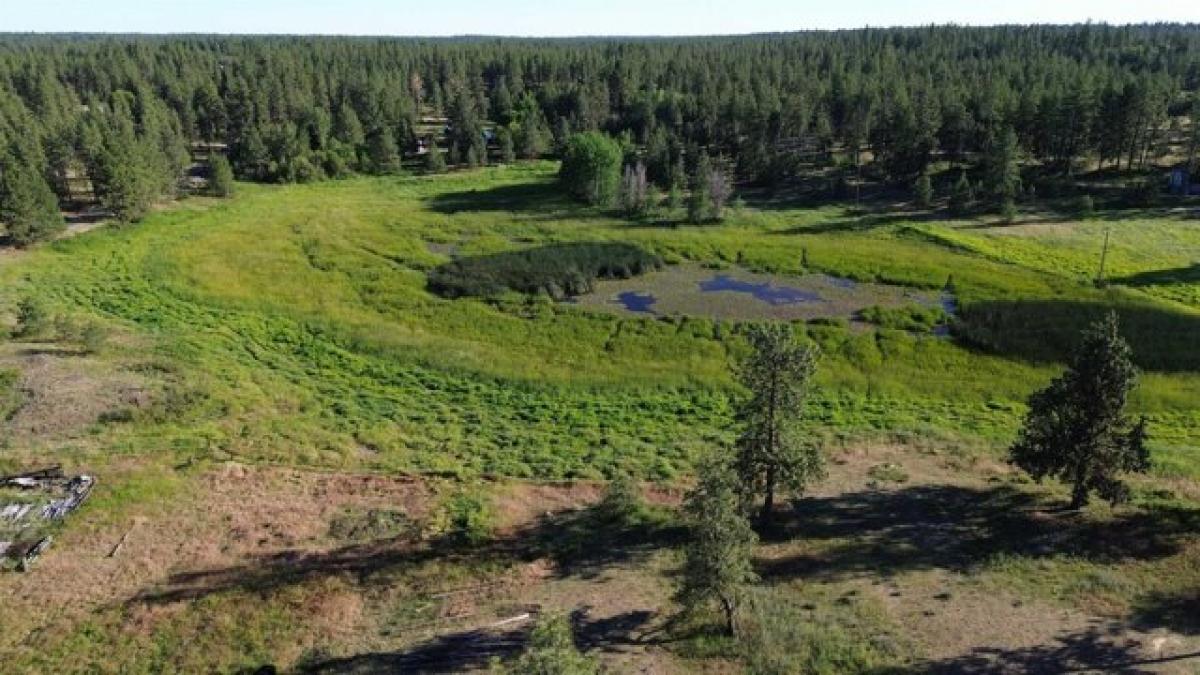 Picture of Home For Sale in Cheney, Washington, United States