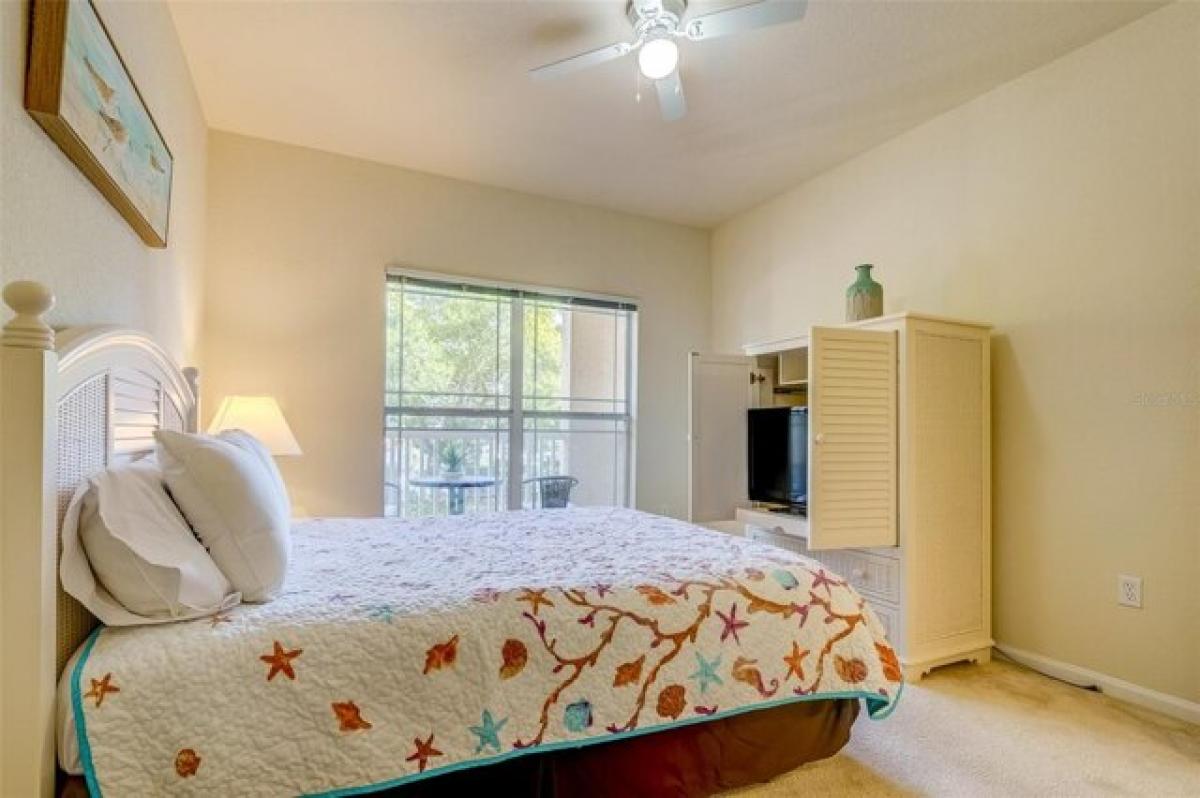 Picture of Home For Rent in Clearwater, Florida, United States