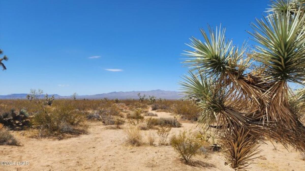 Picture of Residential Land For Sale in Yucca, Arizona, United States