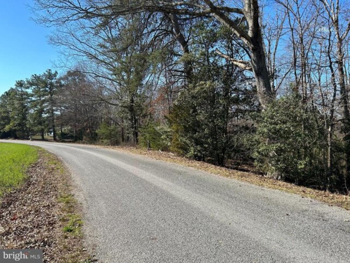 Picture of Residential Land For Sale in Milford, Virginia, United States