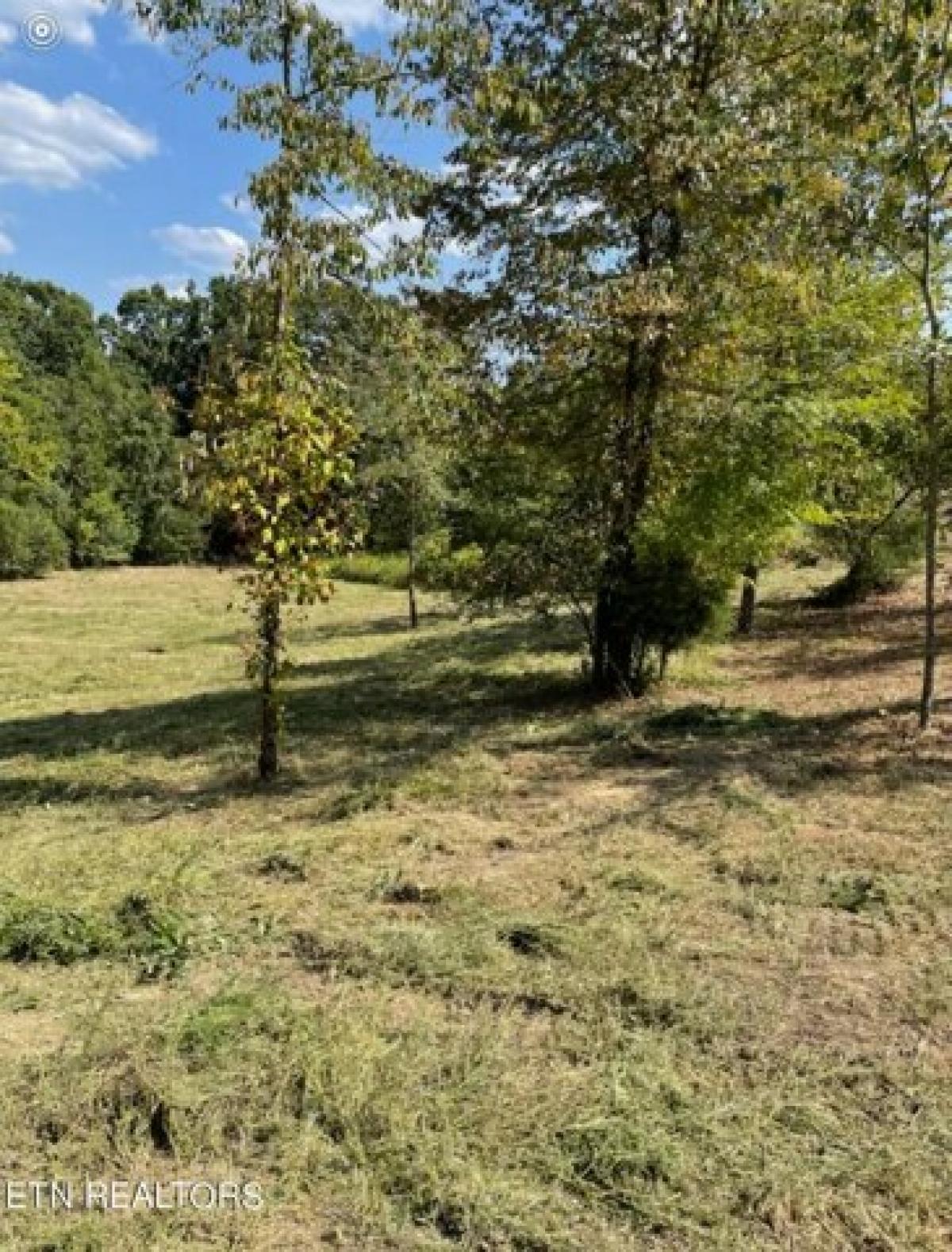 Picture of Residential Land For Sale in Dandridge, Tennessee, United States