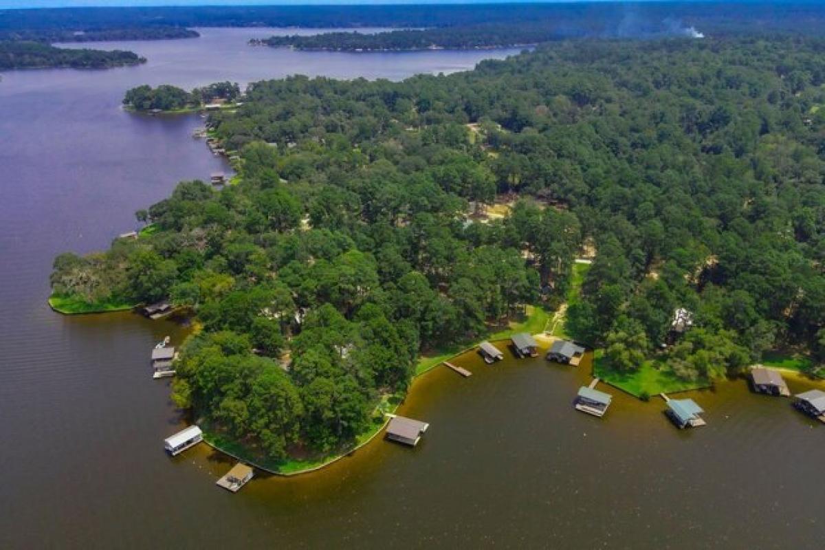 Picture of Home For Sale in Grapeland, Texas, United States