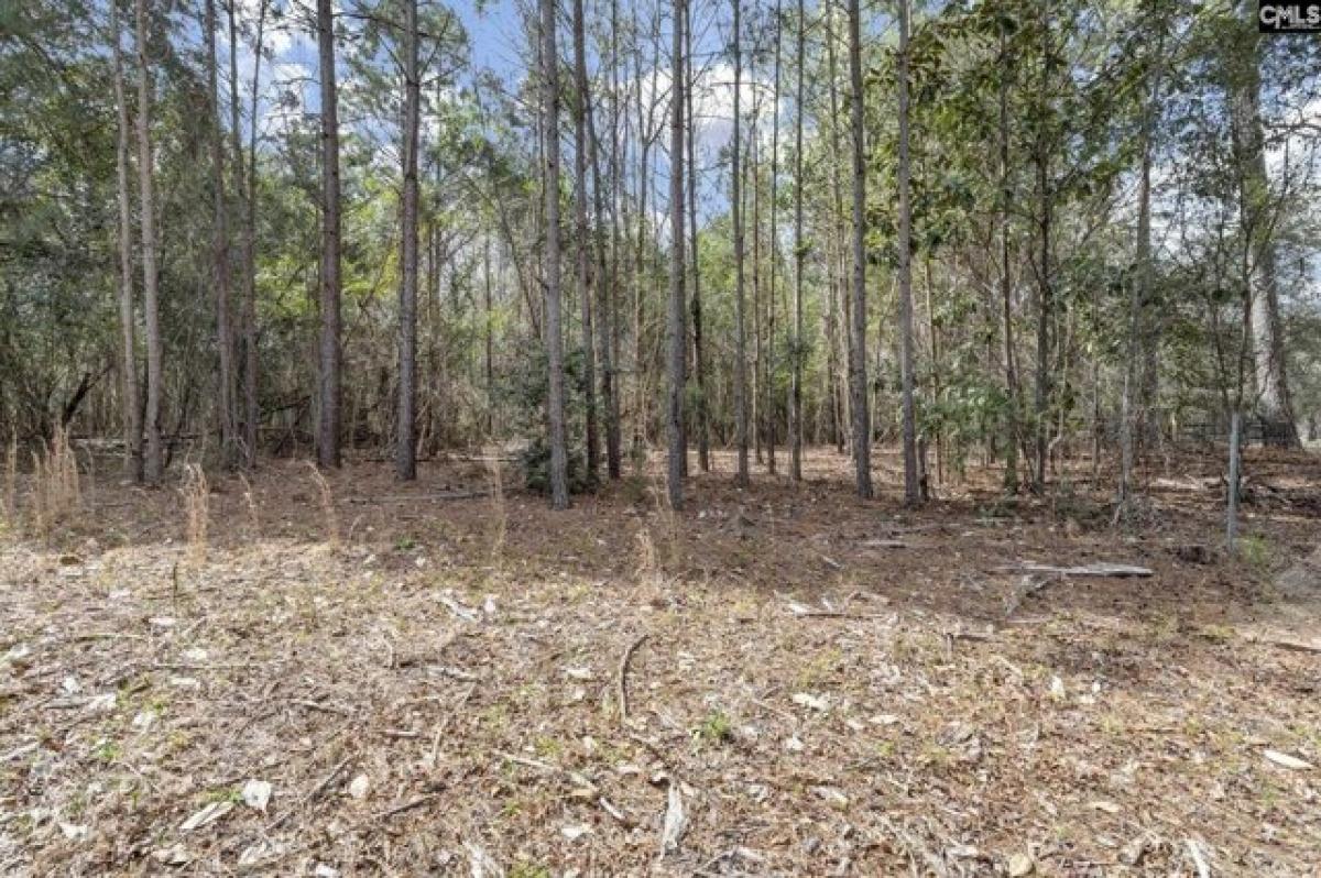 Picture of Residential Land For Sale in Ridgeway, South Carolina, United States