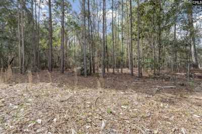 Residential Land For Sale in Ridgeway, South Carolina