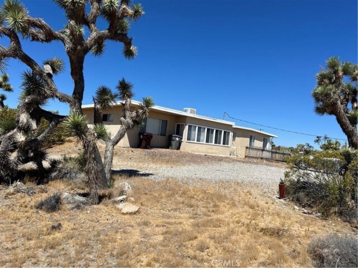 Picture of Home For Rent in Yucca Valley, California, United States