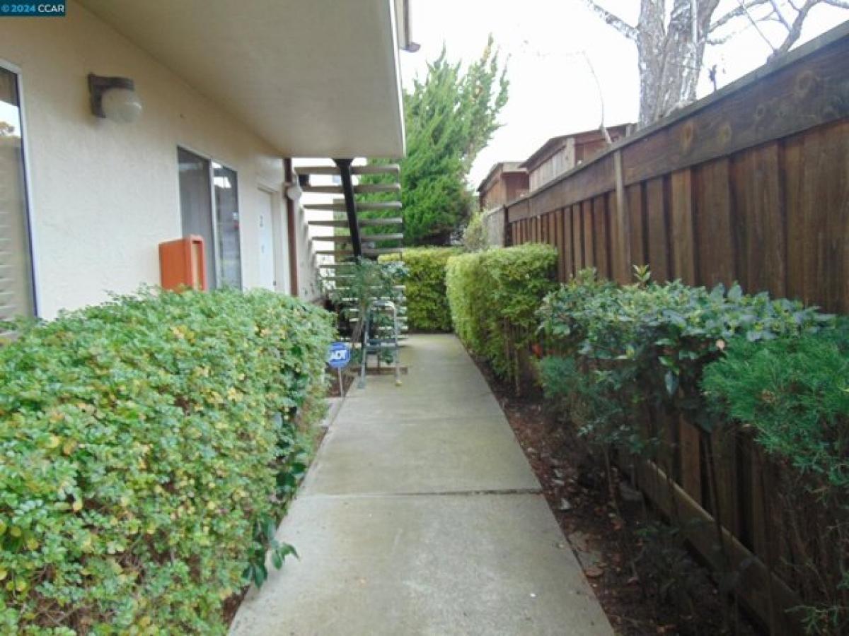 Picture of Home For Rent in Albany, California, United States