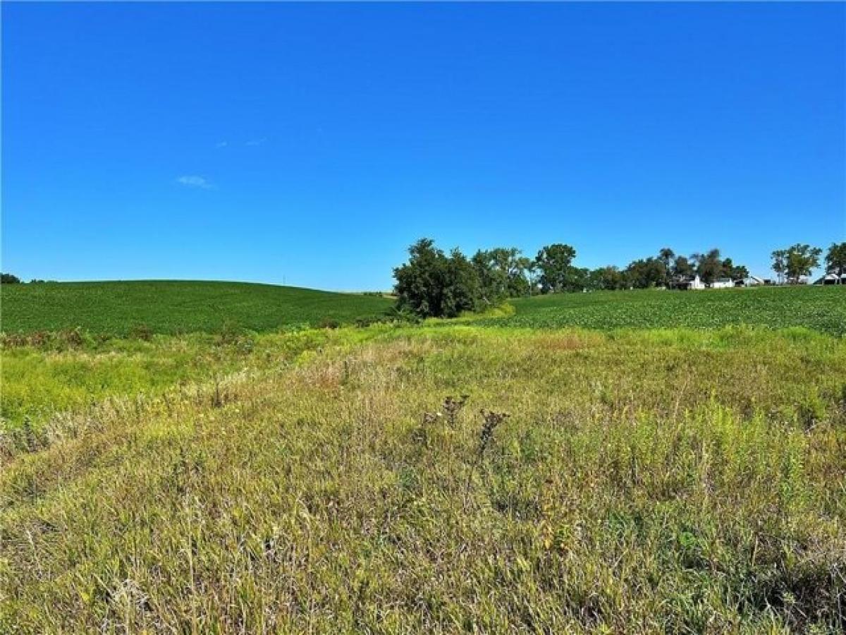 Picture of Residential Land For Sale in Gilman City, Missouri, United States