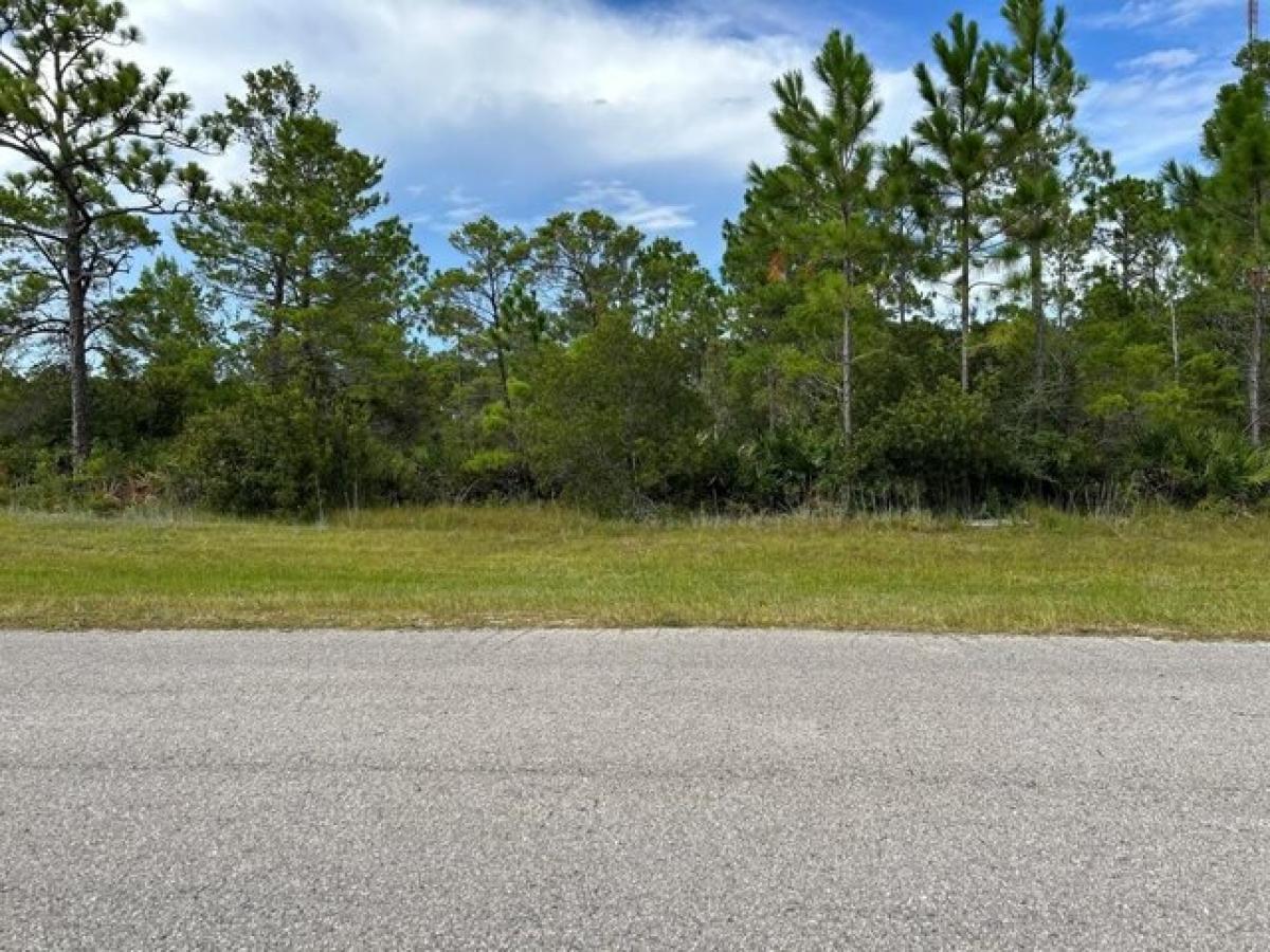 Picture of Residential Land For Sale in Eastpoint, Florida, United States