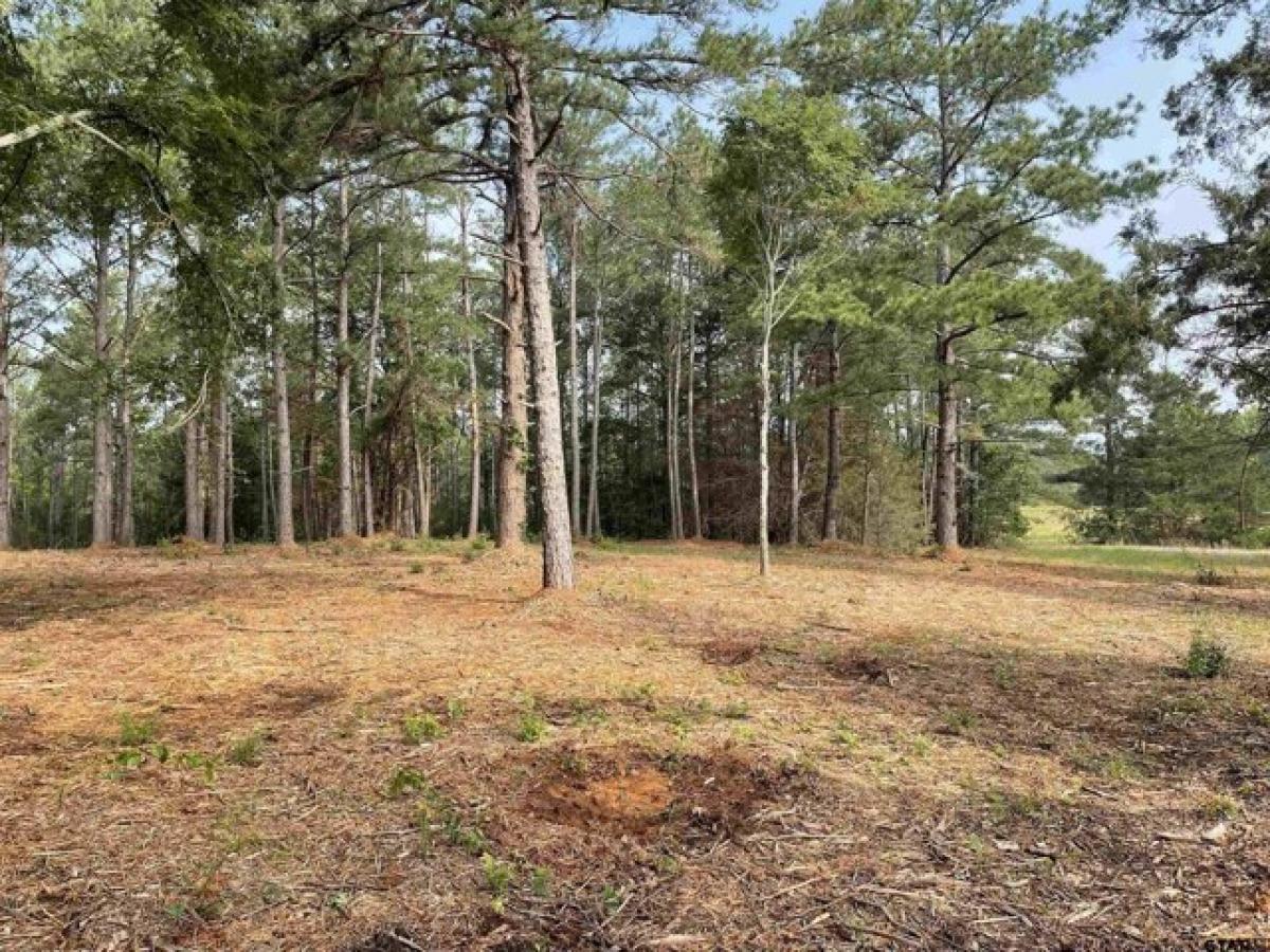 Picture of Residential Land For Sale in Tyler, Texas, United States