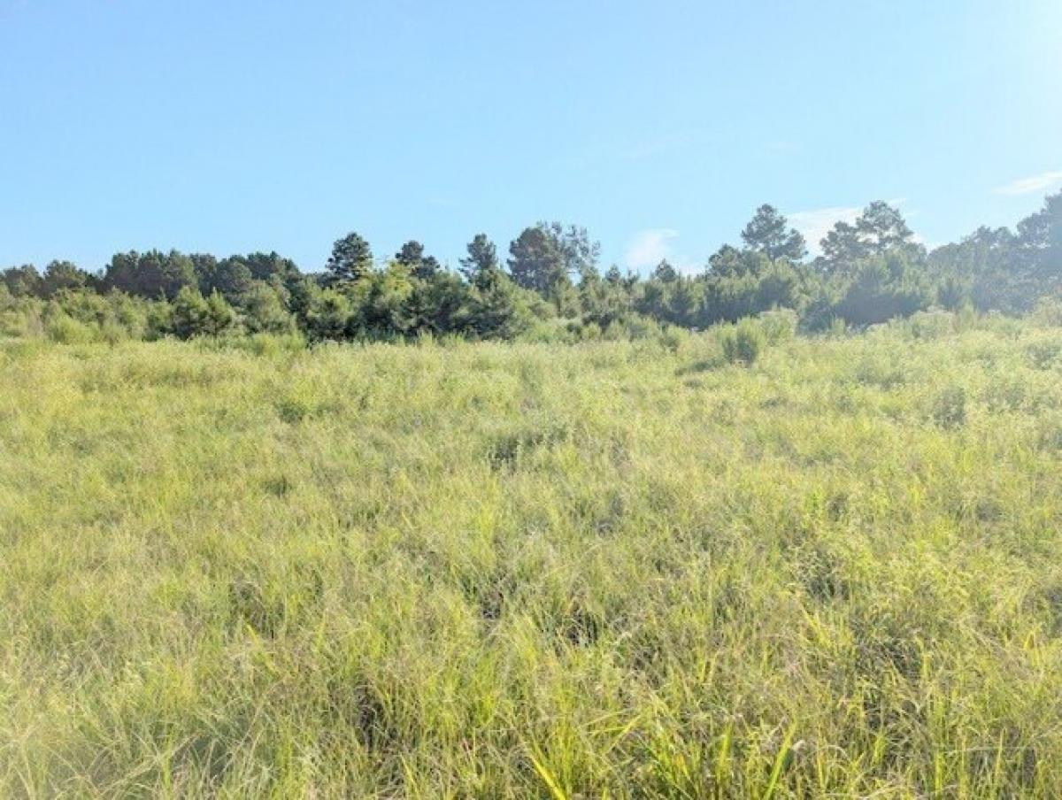 Picture of Residential Land For Sale in Lovelady, Texas, United States