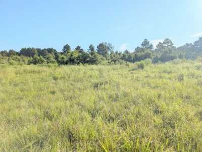 Residential Land For Sale in Lovelady, Texas